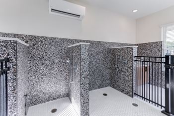 Dog wash & grooming stations